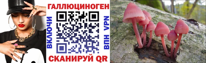 Галлюциногенные грибы MAGIC MUSHROOMS  shop какой сайт  Шиханы 